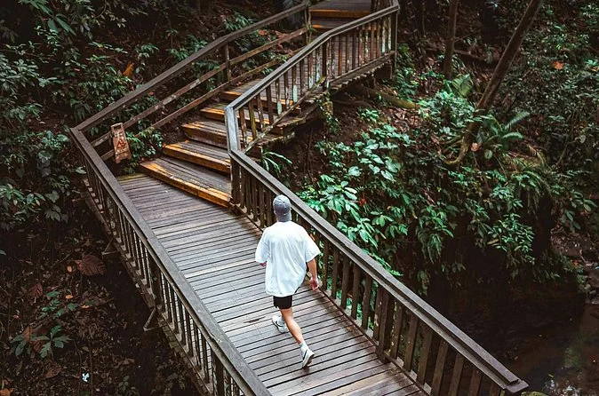 Excursion à Ubud : Forêt des singes, Ridge Walk et rizières